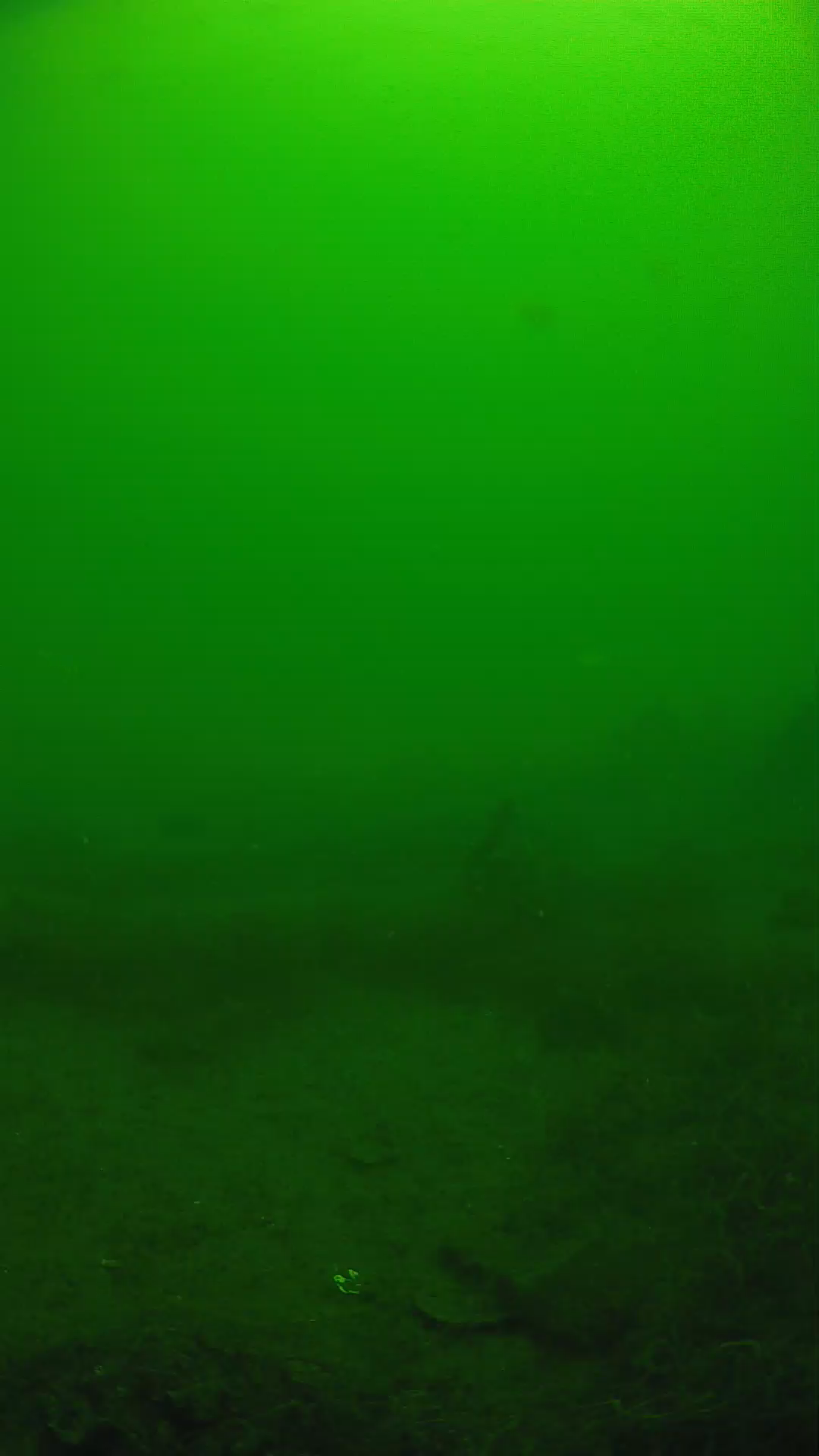 lander_ipcam_20250605110125.png