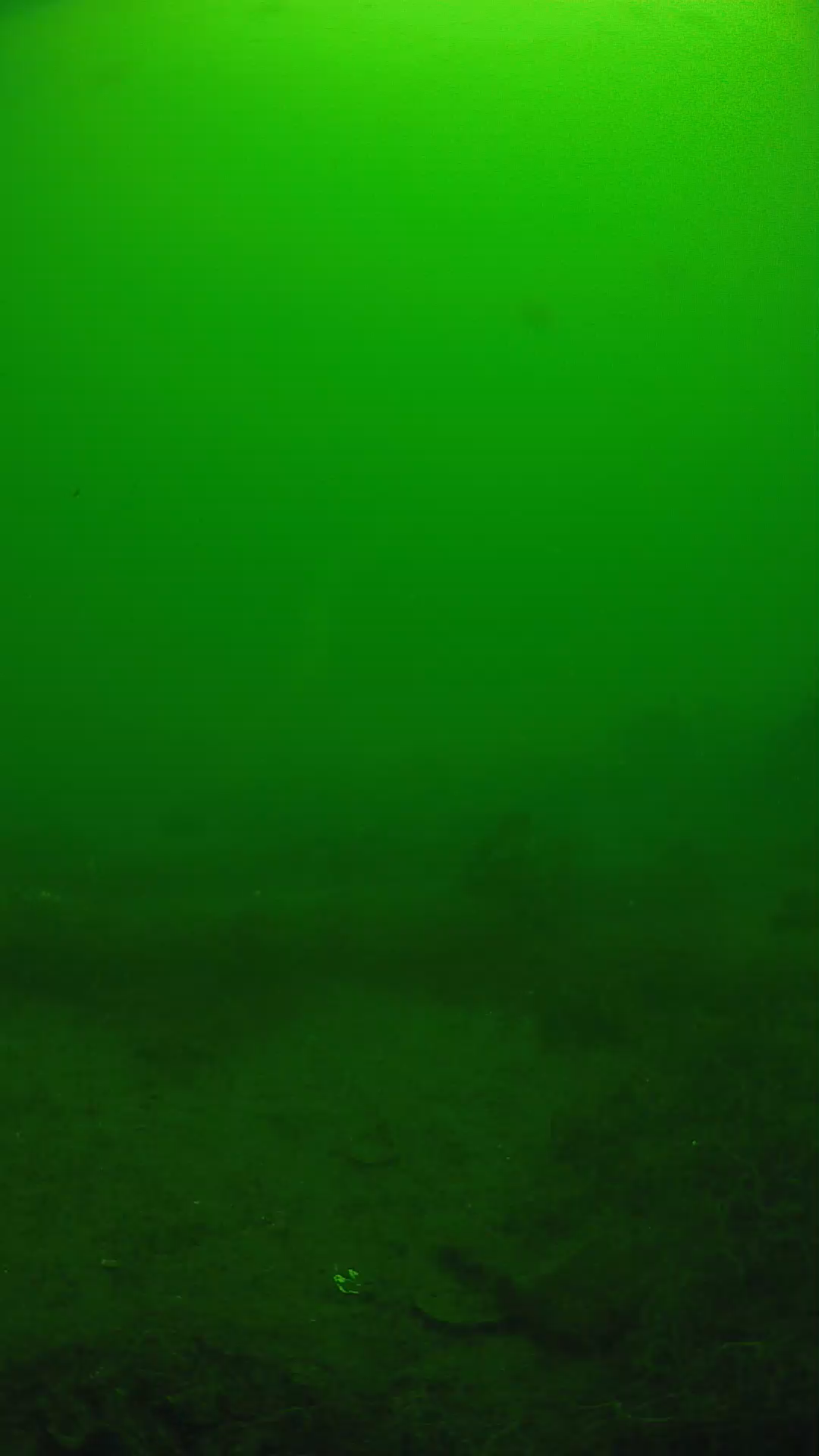 lander_ipcam_20250605110130.png