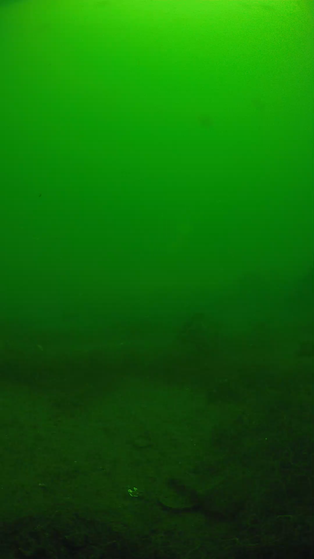 lander_ipcam_20250605110131.png