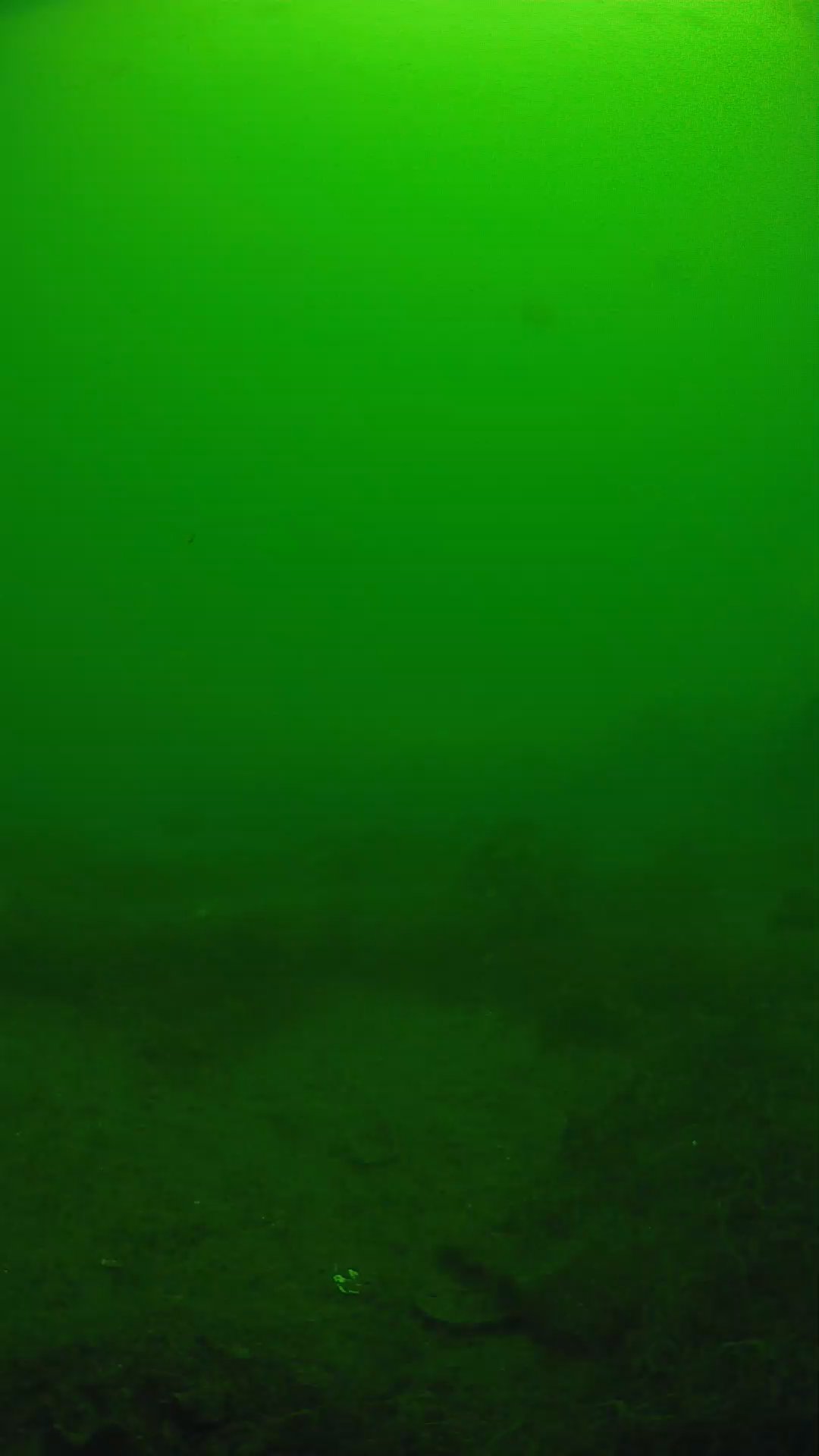 lander_ipcam_20250605110133.png
