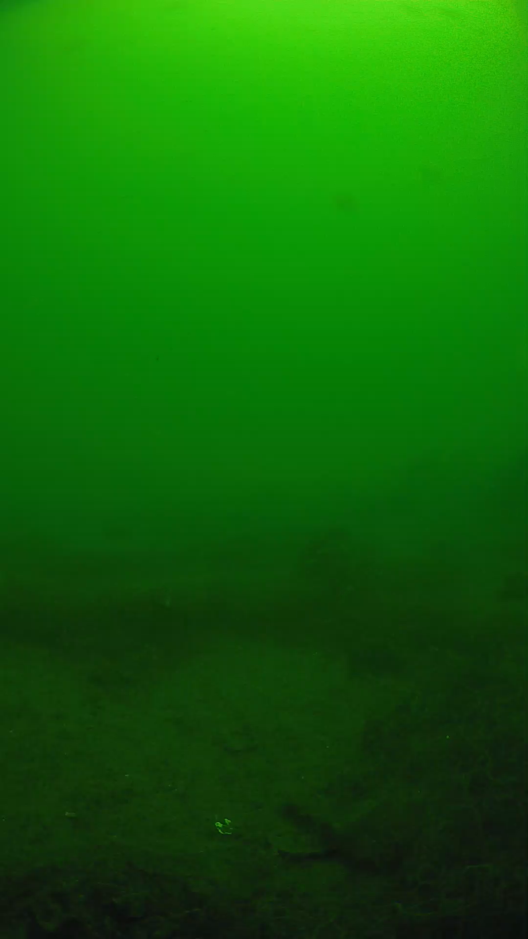 lander_ipcam_20250605110134.png
