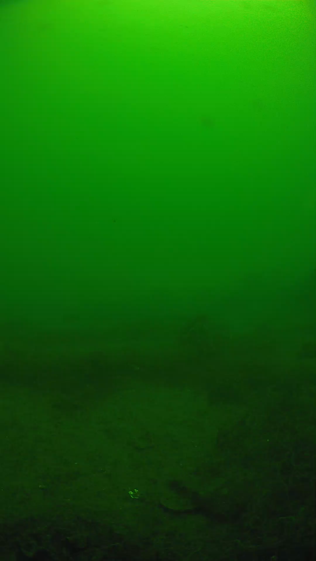 lander_ipcam_20250605110135.png
