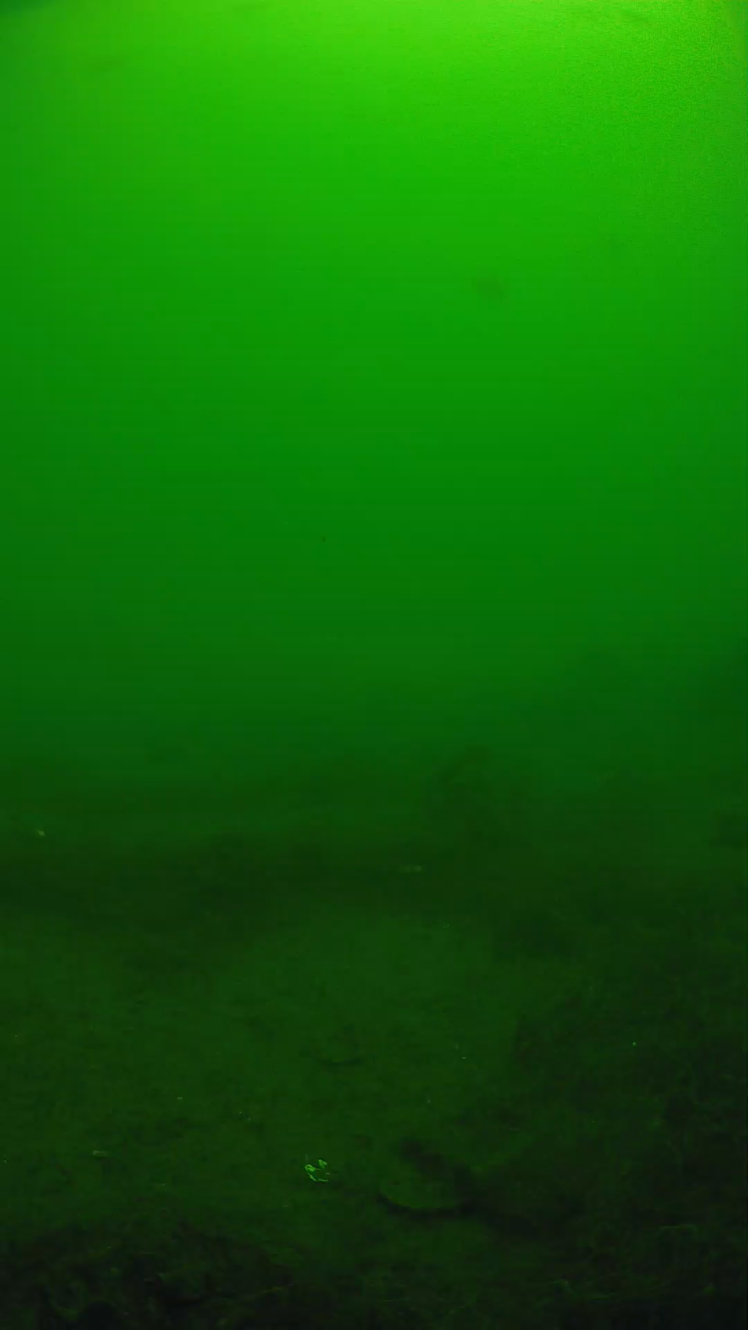 lander_ipcam_20250605110136.png
