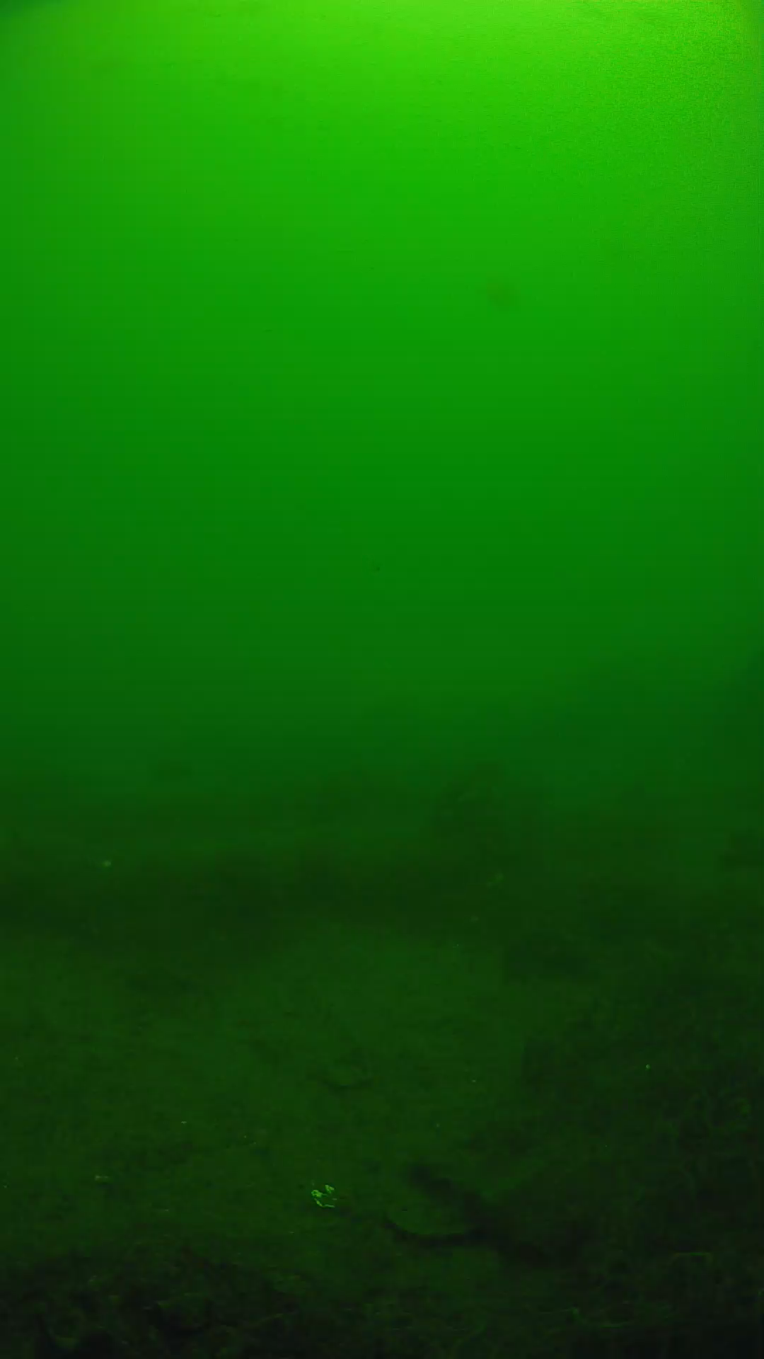 lander_ipcam_20250605110137.png