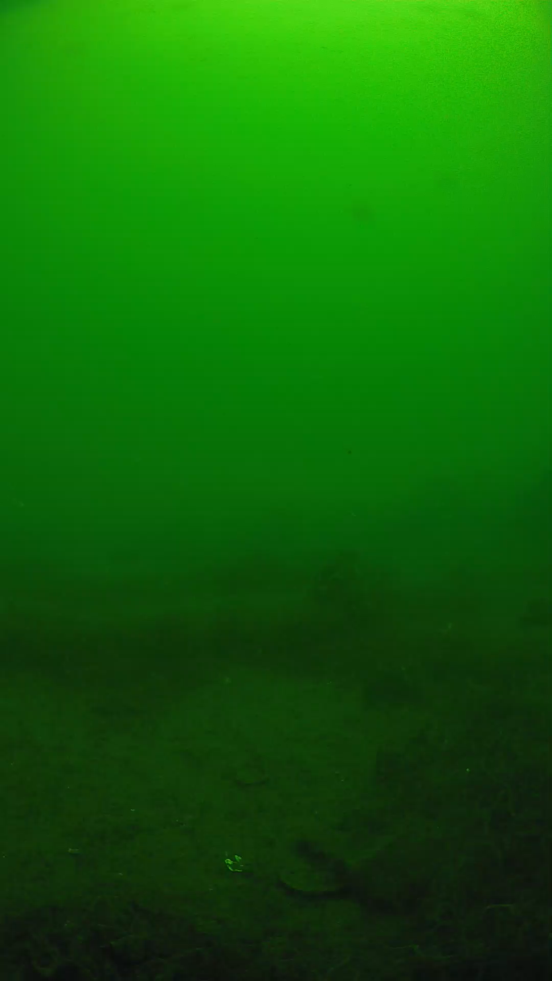 lander_ipcam_20250605110140.png