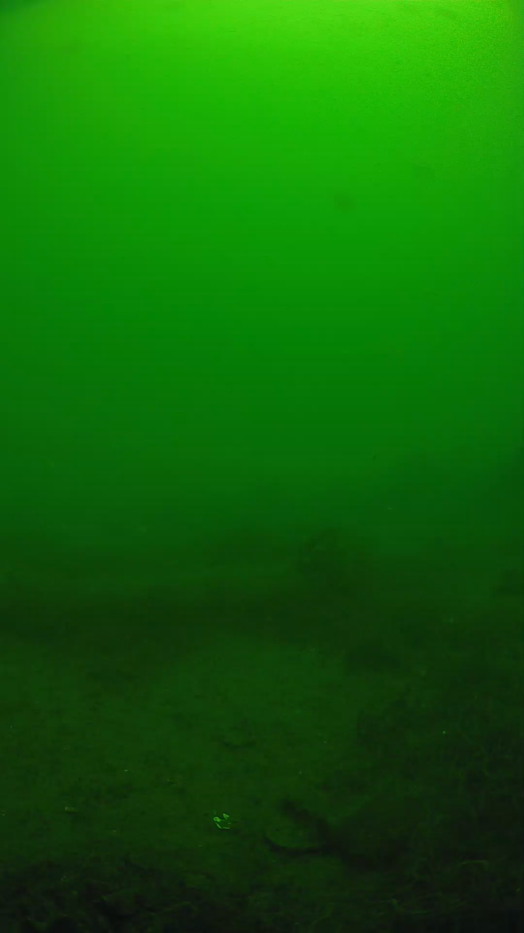 lander_ipcam_20250605110142.png