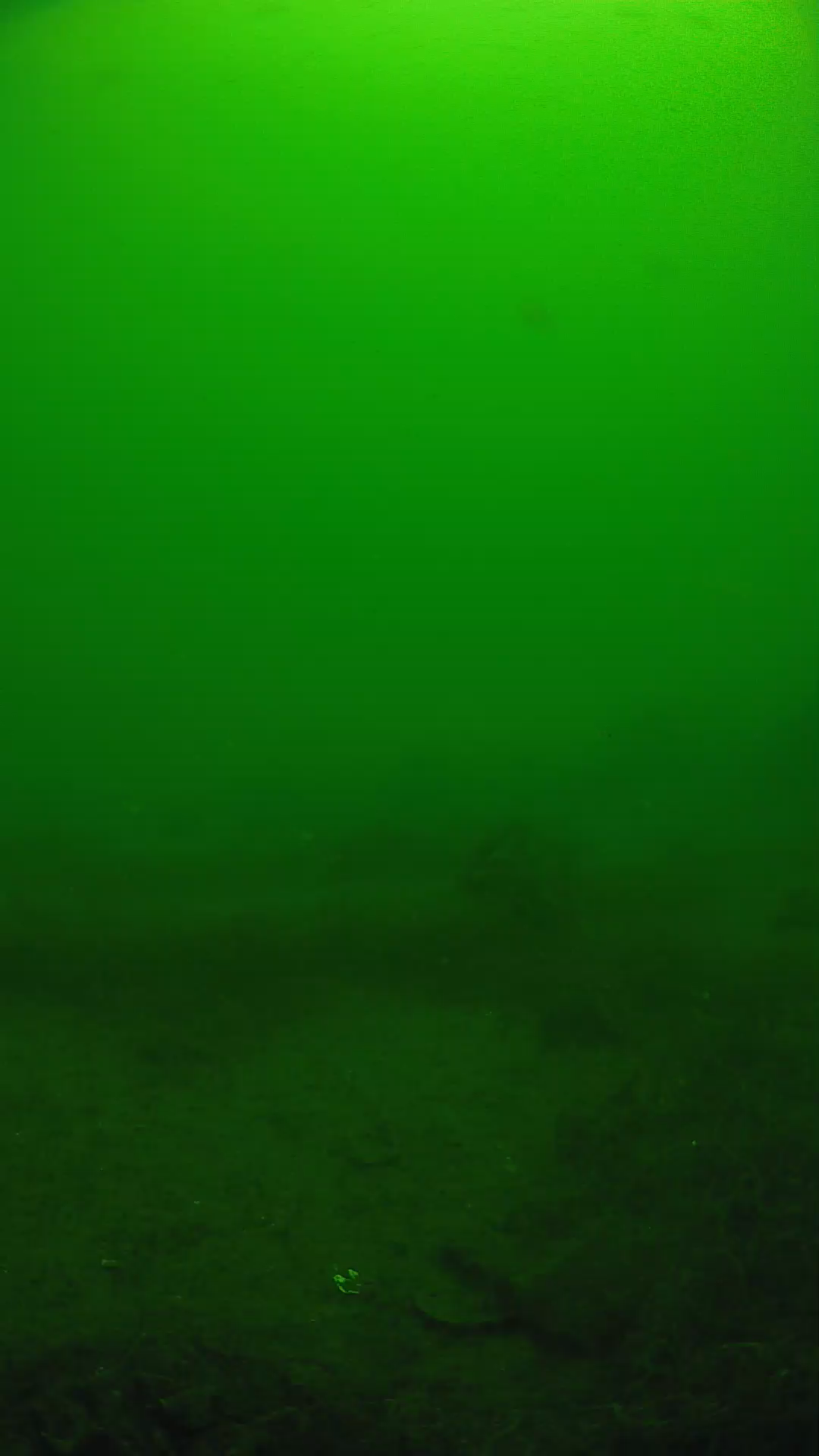 lander_ipcam_20250605110143.png
