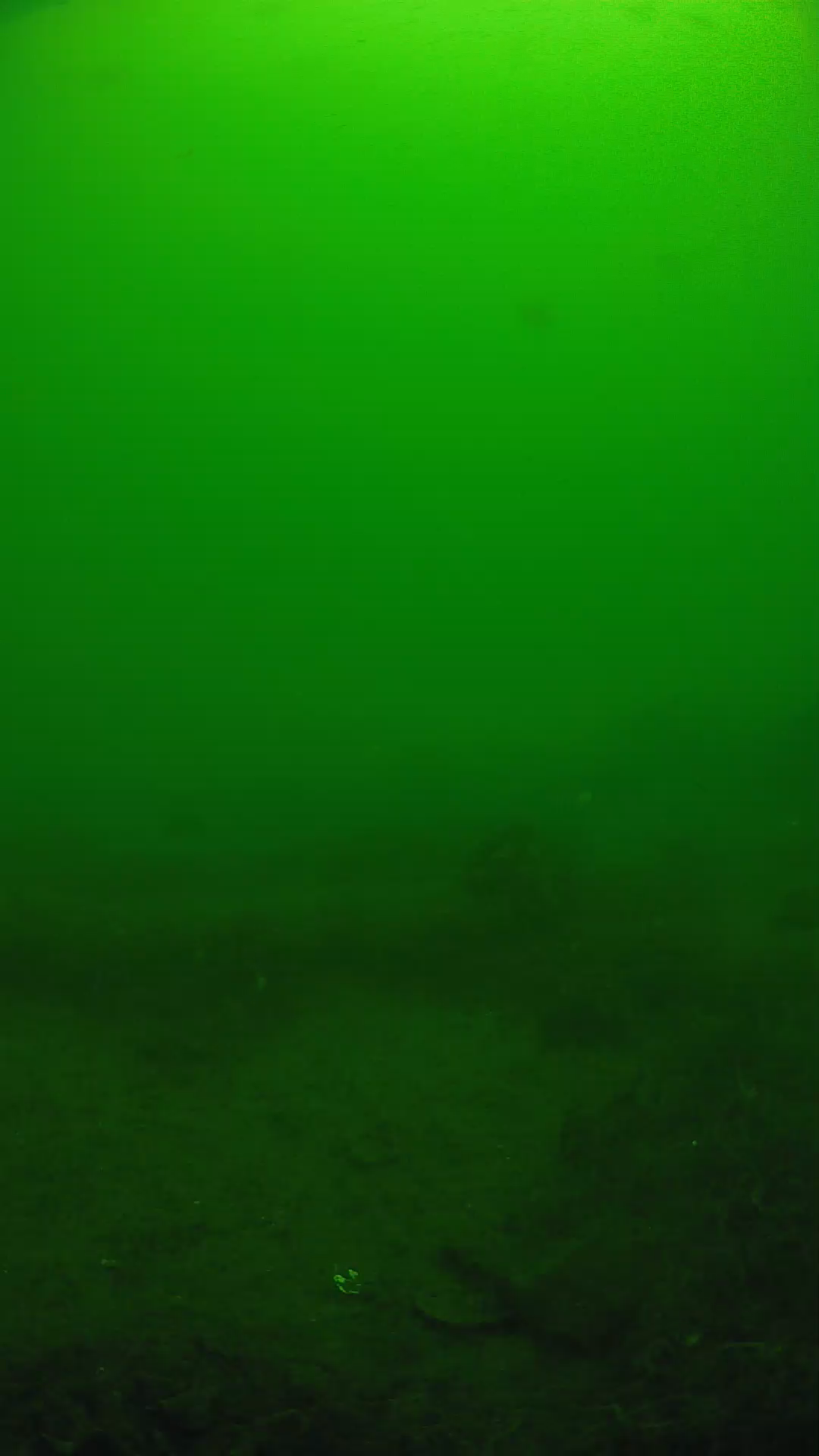 lander_ipcam_20250605110146.png