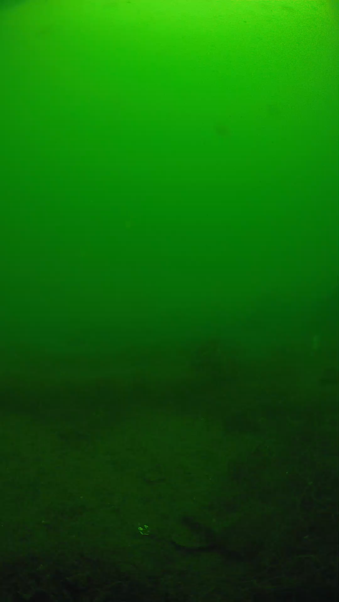 lander_ipcam_20250605110152.png