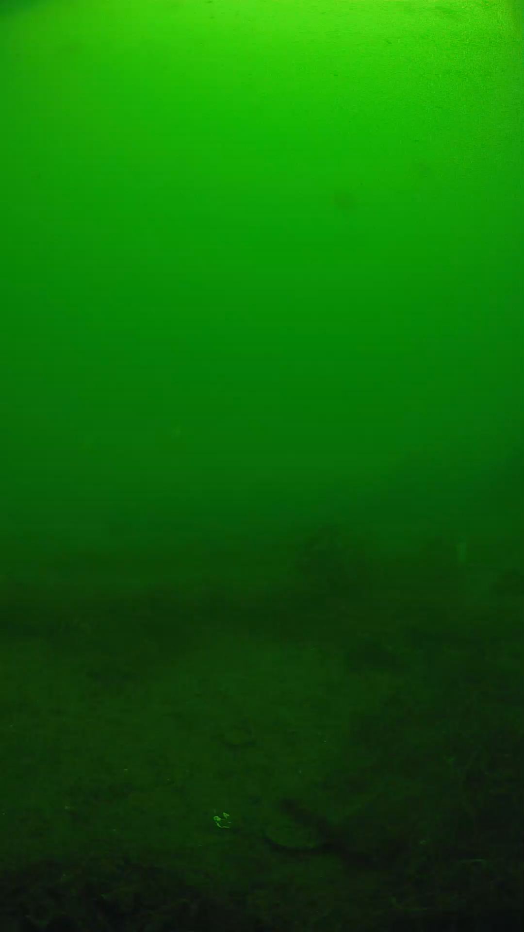 lander_ipcam_20250605110154.png
