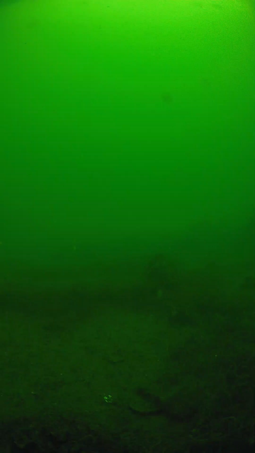 lander_ipcam_20250605110159.png