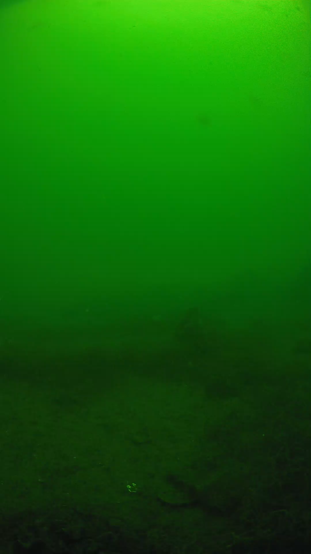 lander_ipcam_20250605110201.png