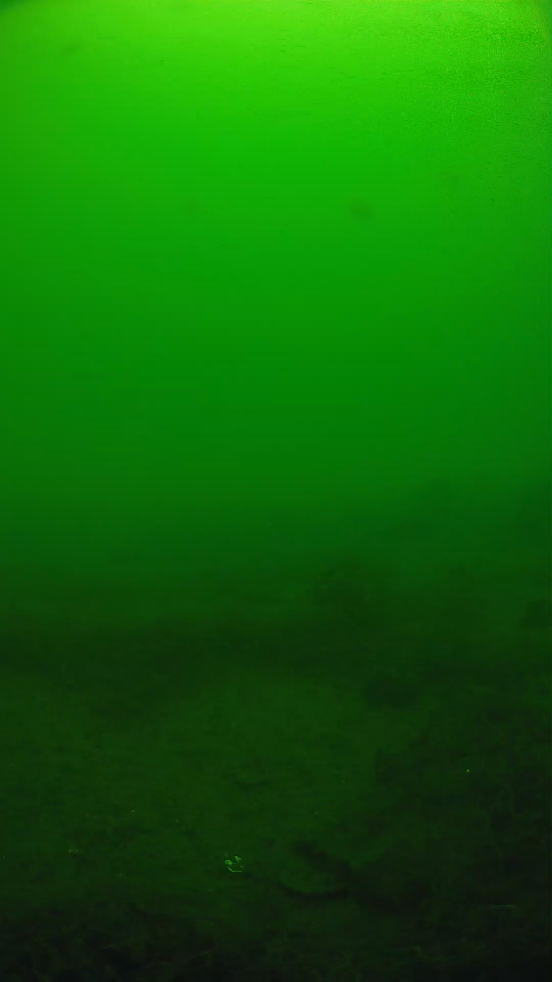 lander_ipcam_20250605111604.png