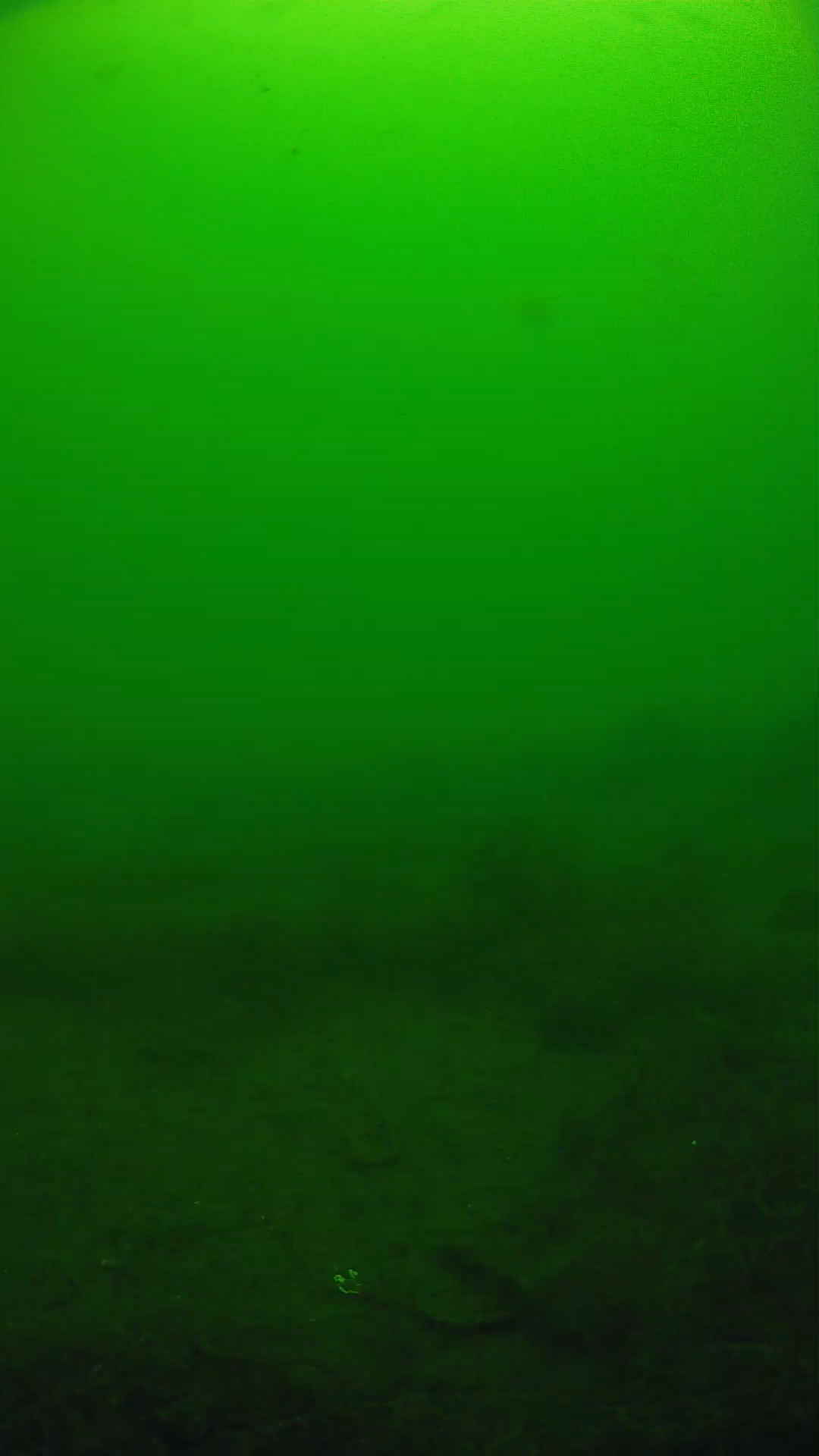 lander_ipcam_20250605111607.png