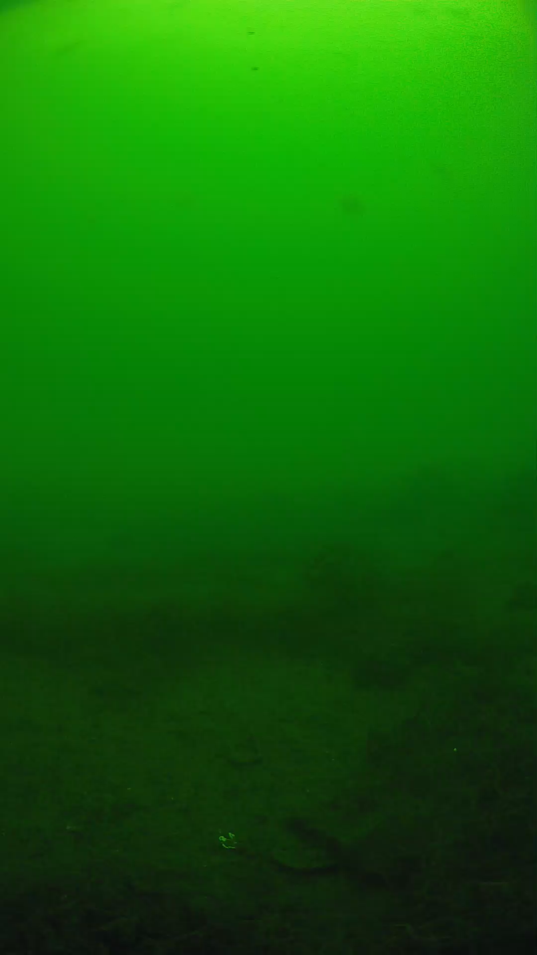 lander_ipcam_20250605111608.png