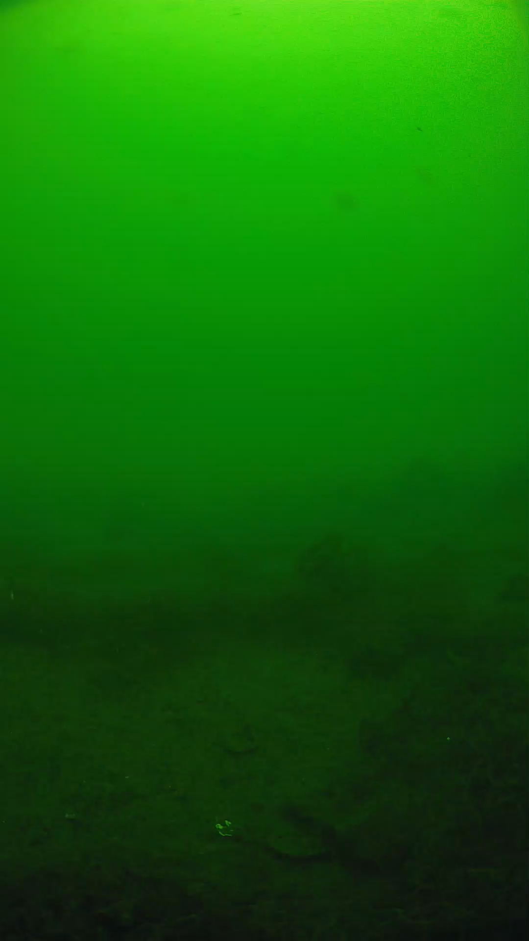 lander_ipcam_20250605111632.png