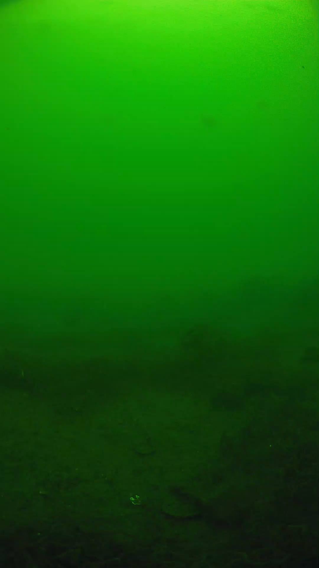 lander_ipcam_20250605111634.png