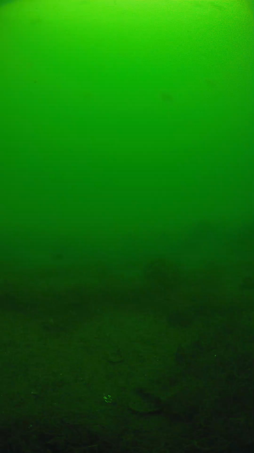 lander_ipcam_20250605111636.png