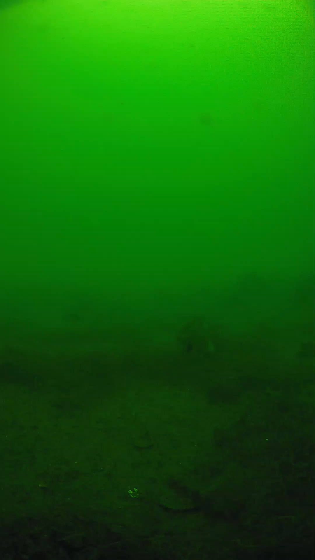 lander_ipcam_20250605111639.png