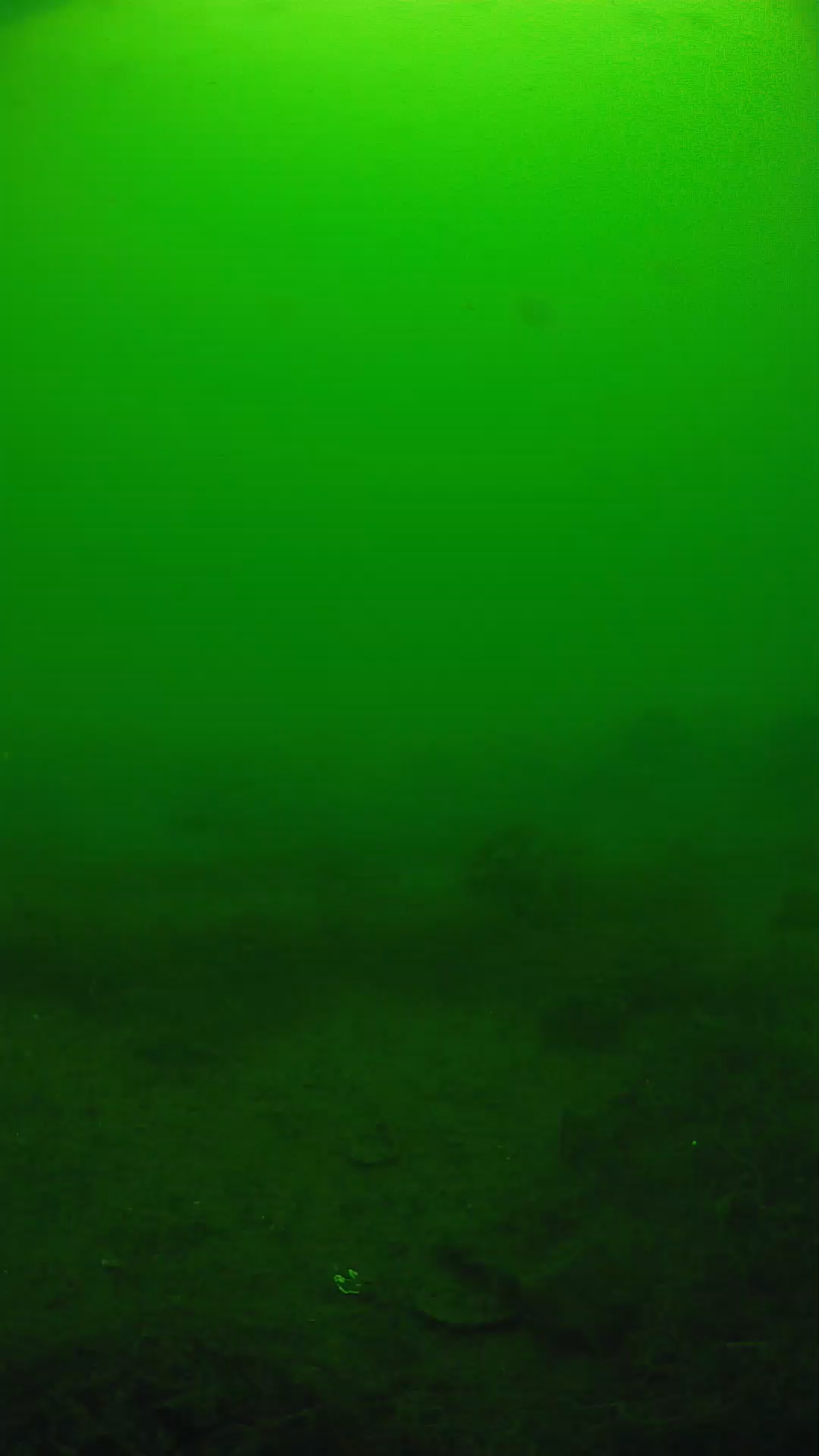 lander_ipcam_20250605111641.png