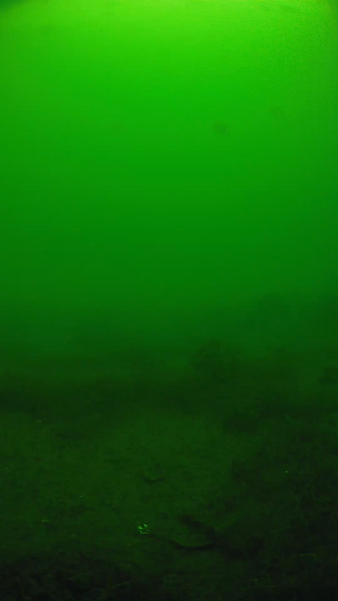 lander_ipcam_20250605111642.png