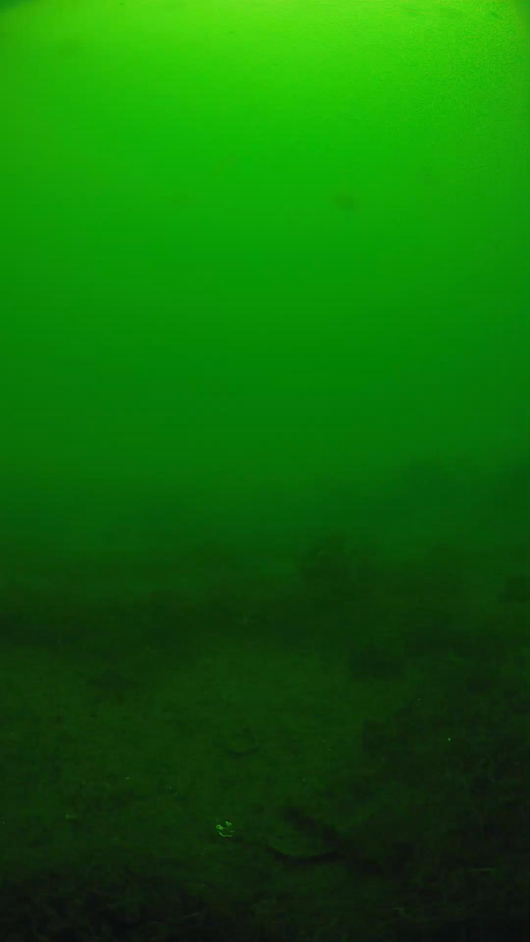 lander_ipcam_20250605111645.png