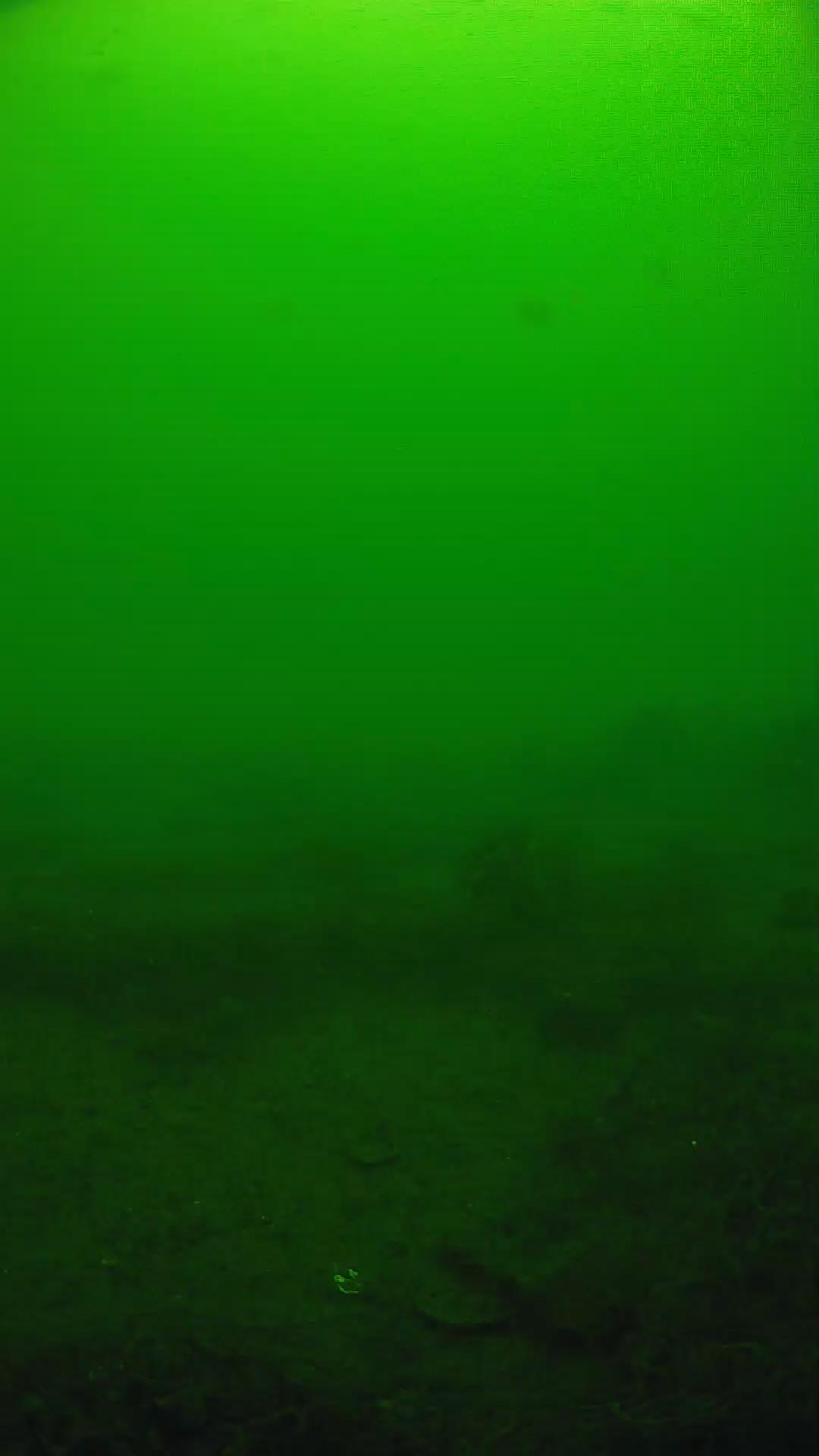 lander_ipcam_20250605111649.png