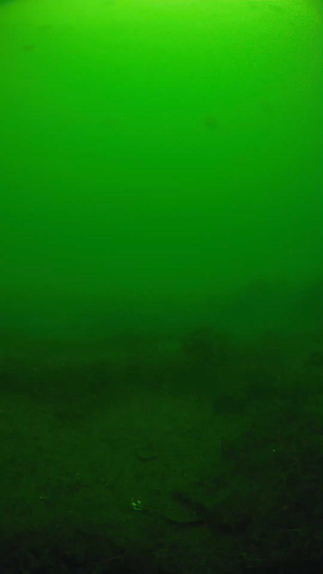 lander_ipcam_20250605111653.png