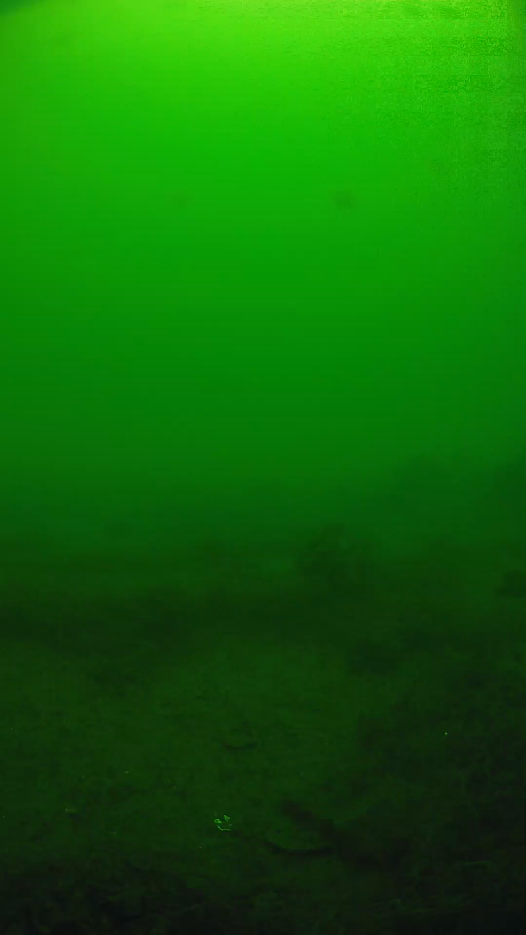 lander_ipcam_20250605111658.png