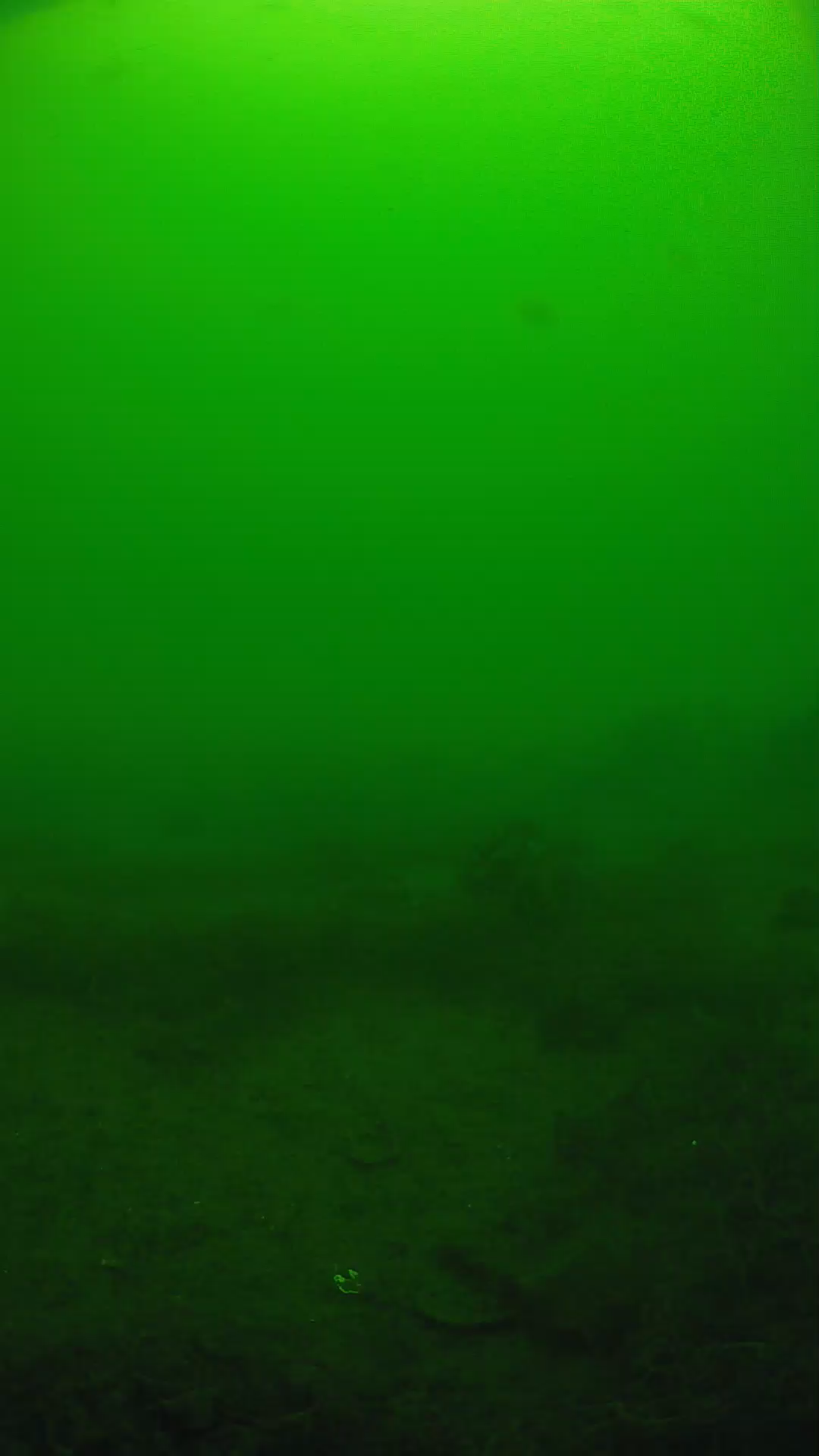lander_ipcam_20250605111659.png