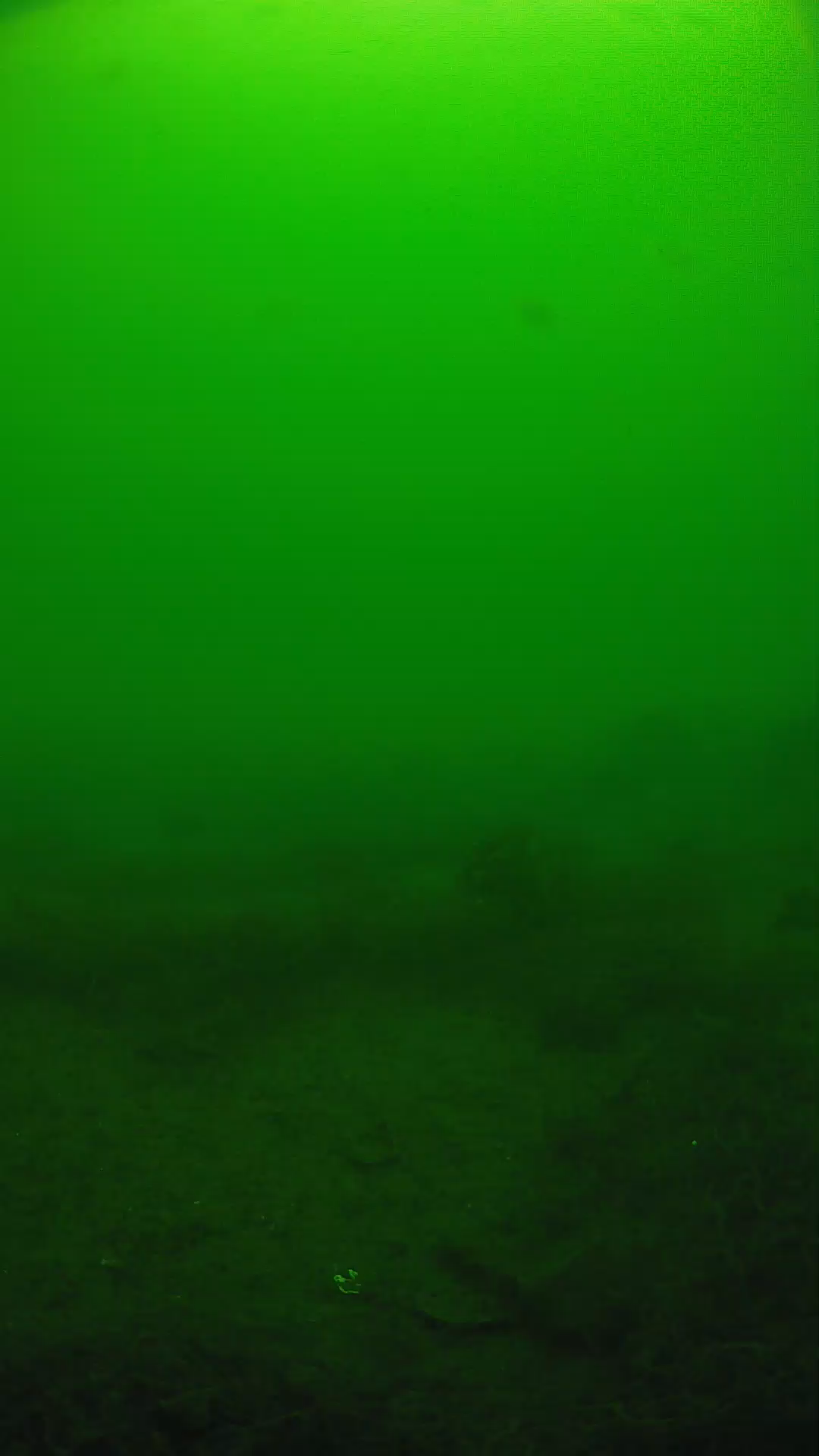 lander_ipcam_20250605111701.png