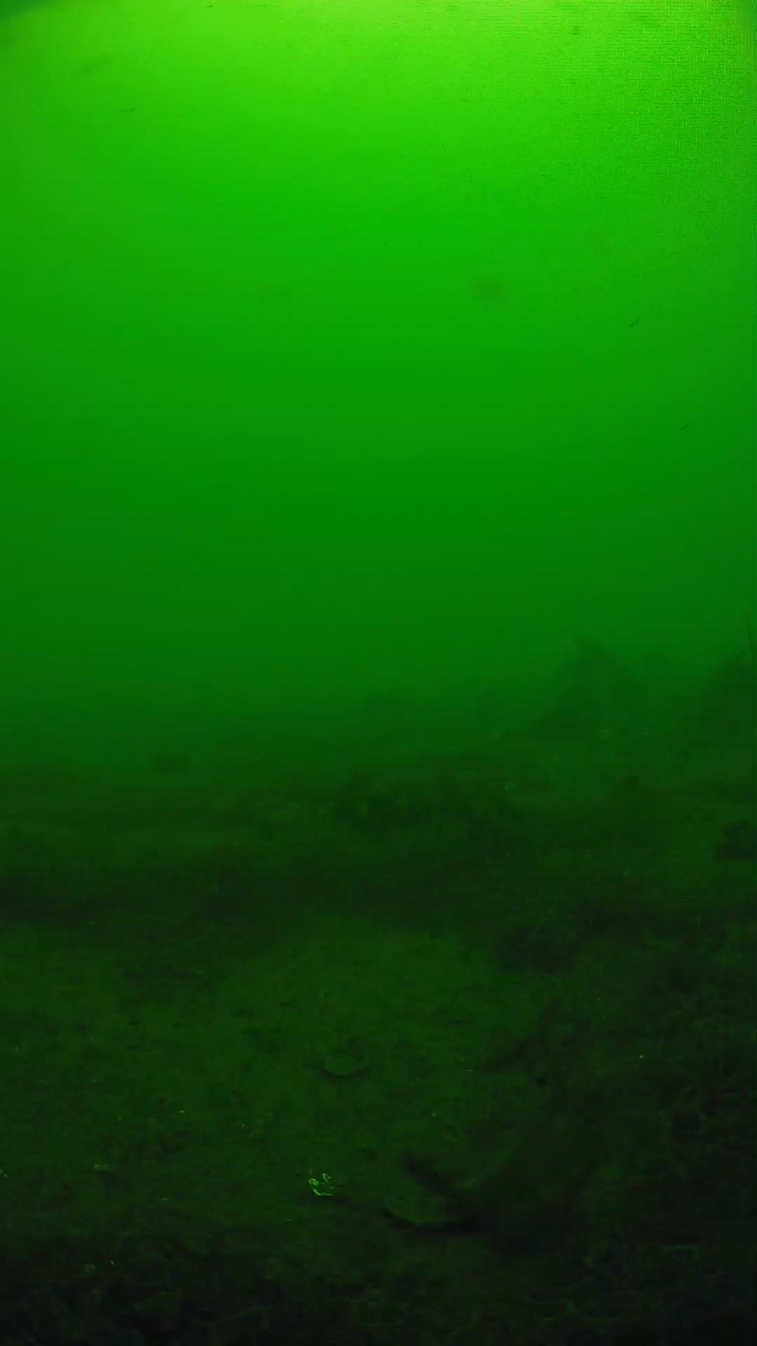 lander_ipcam_20250605113107.png