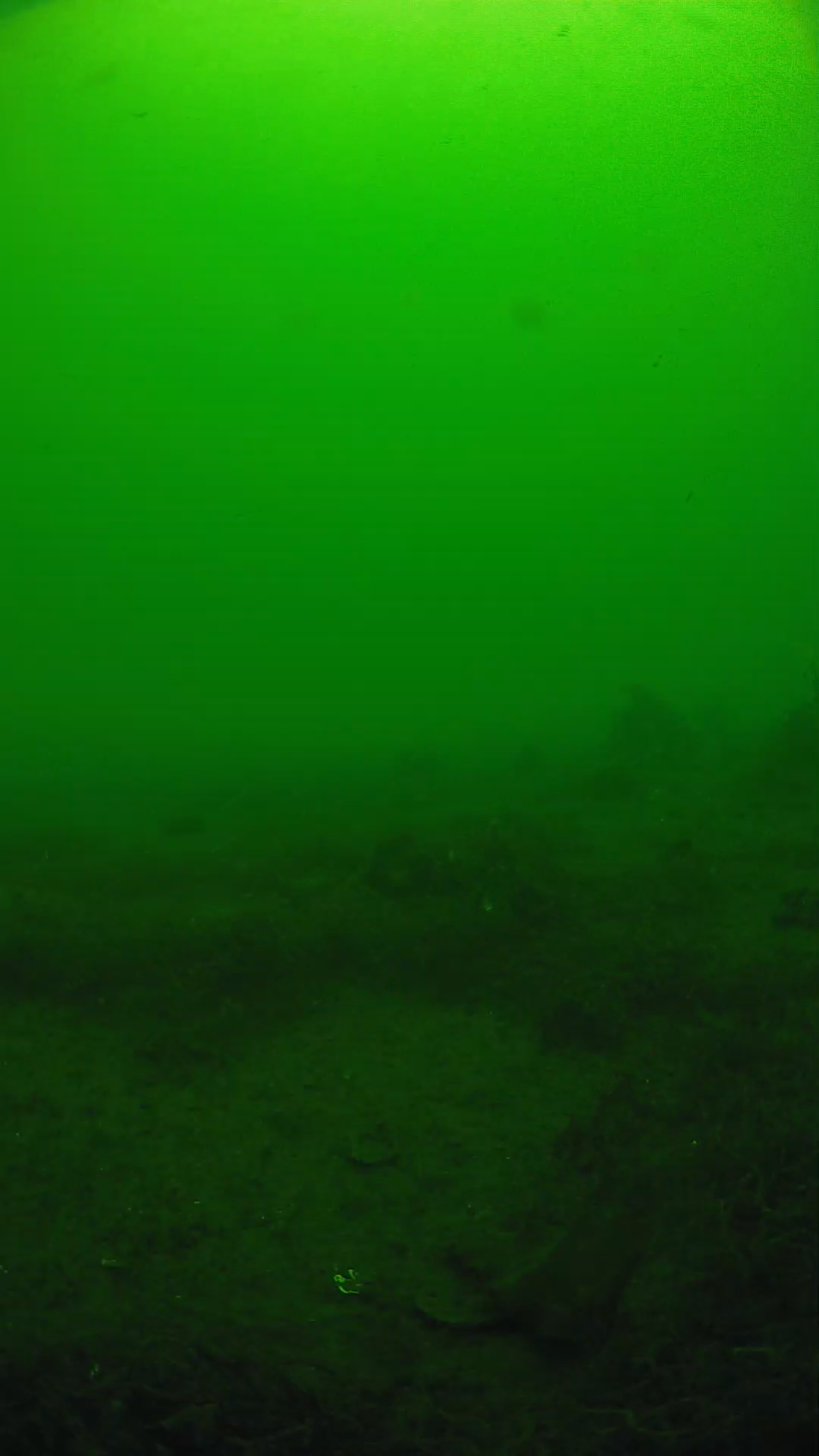 lander_ipcam_20250605113108.png