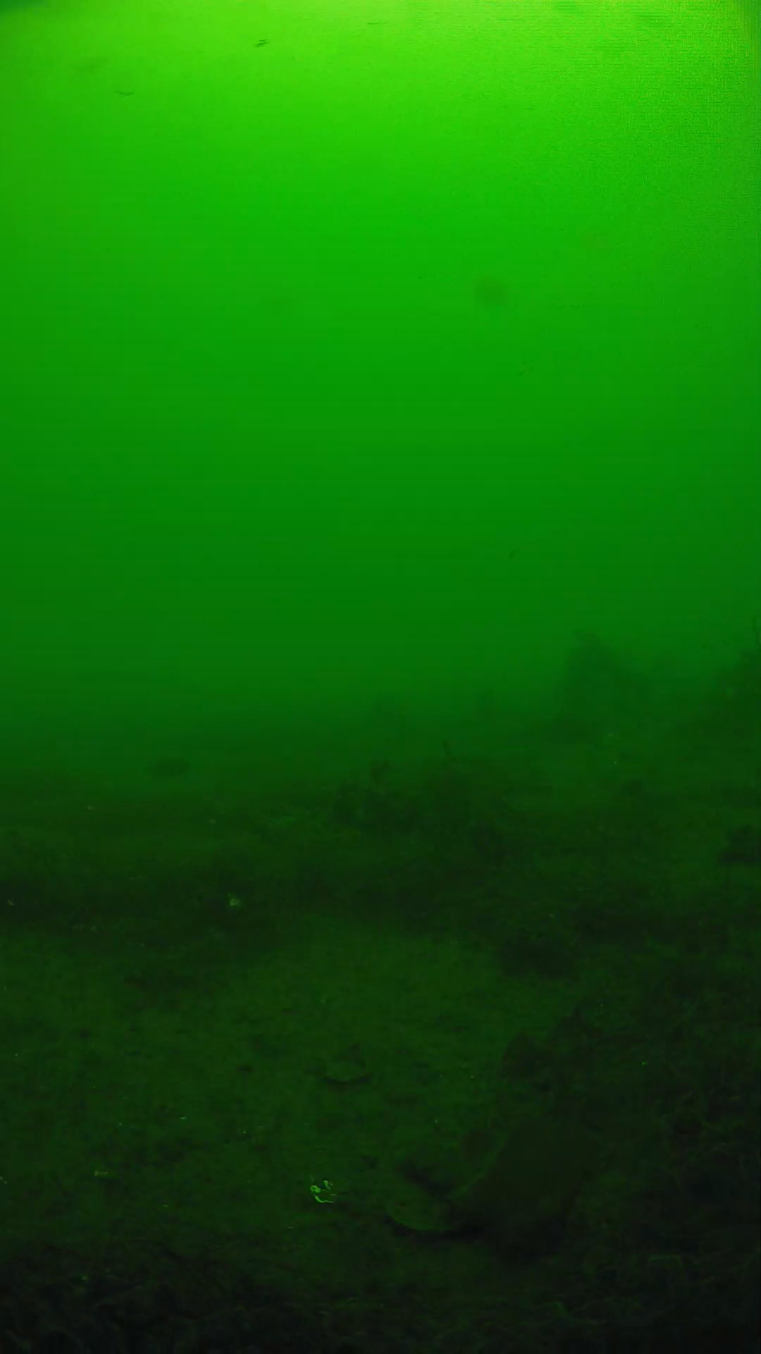 lander_ipcam_20250605113111.png
