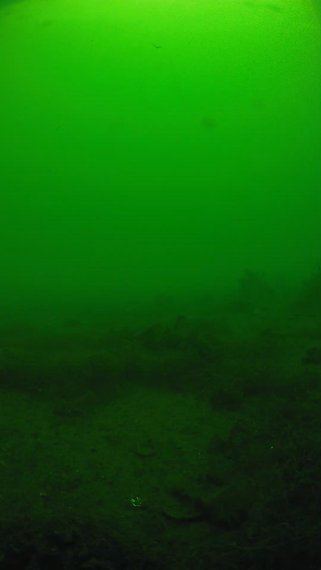 lander_ipcam_20250605113131.png
