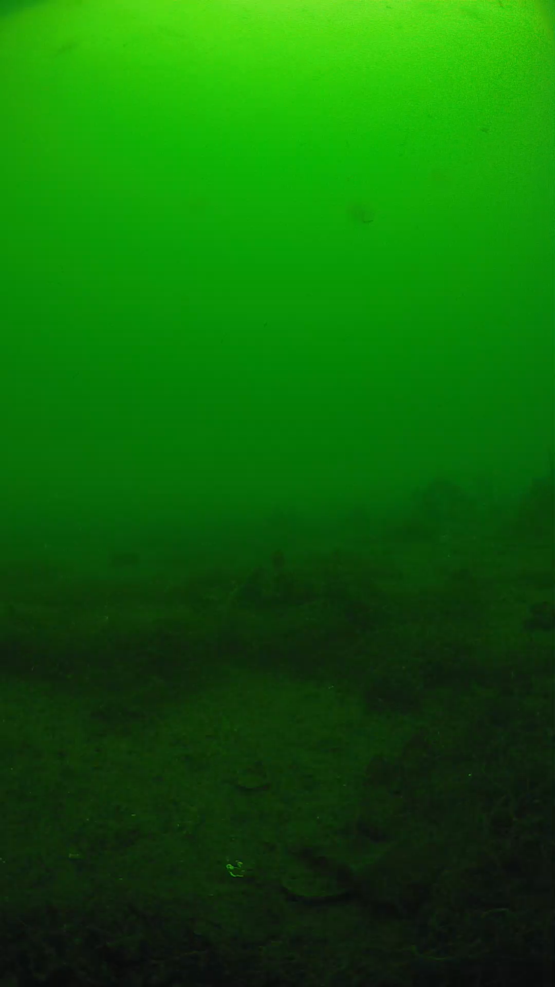 lander_ipcam_20250605113147.png