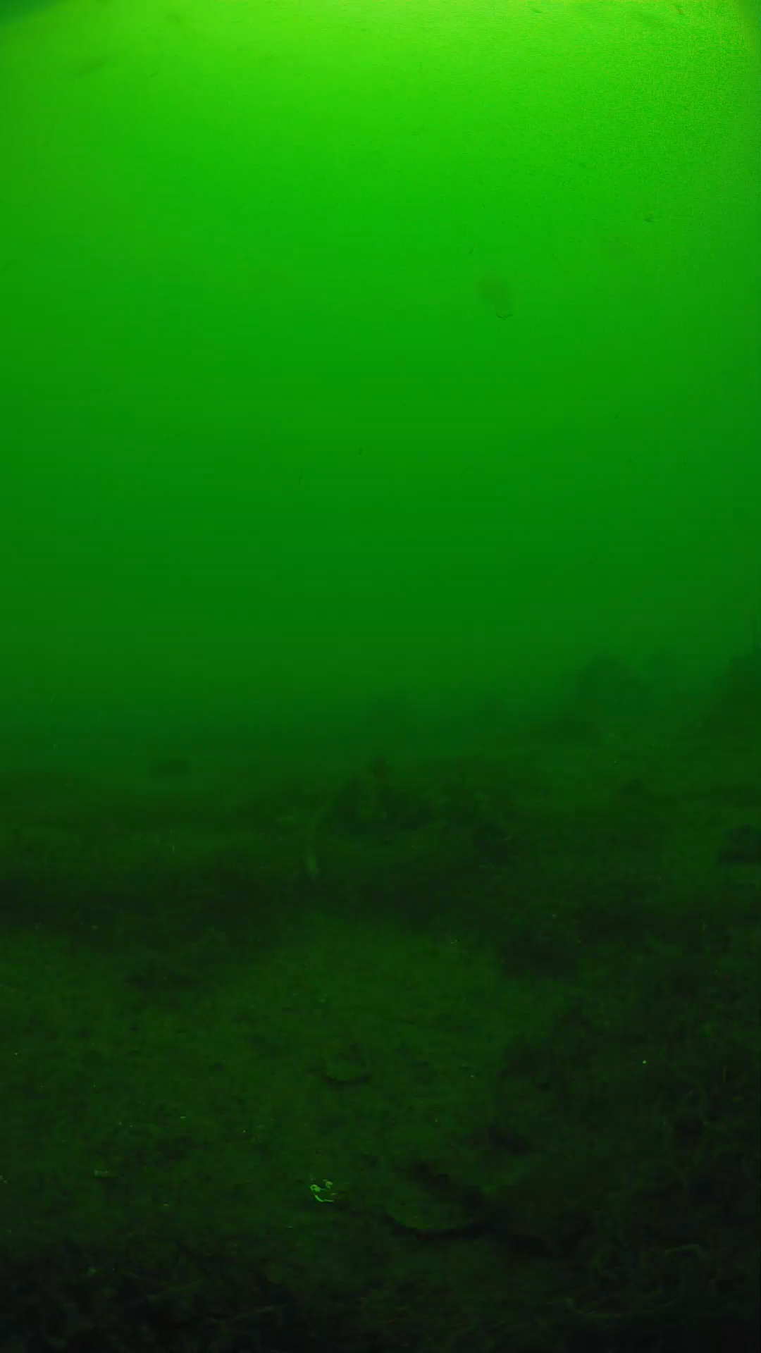 lander_ipcam_20250605113148.png
