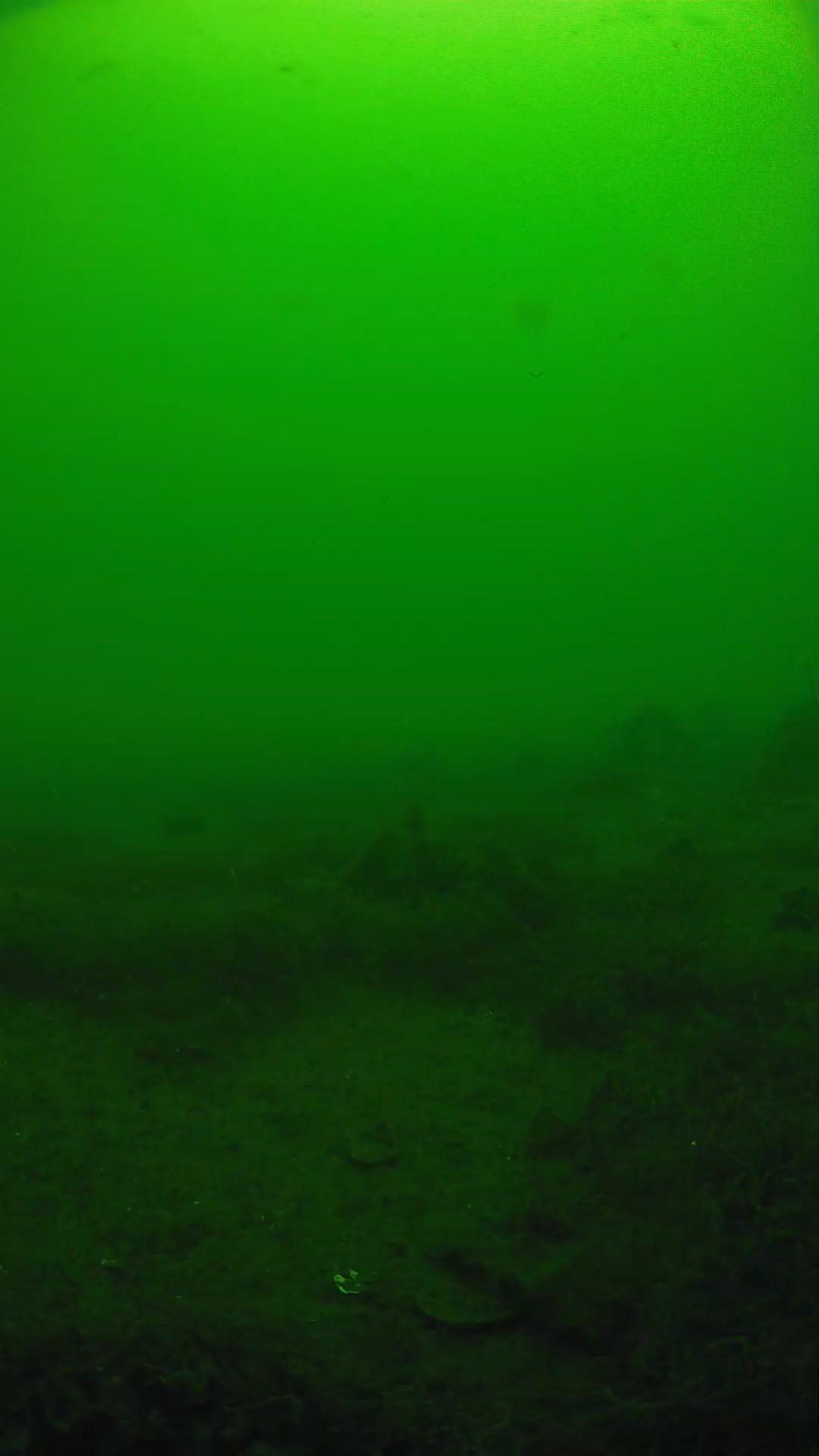 lander_ipcam_20250605113150.png