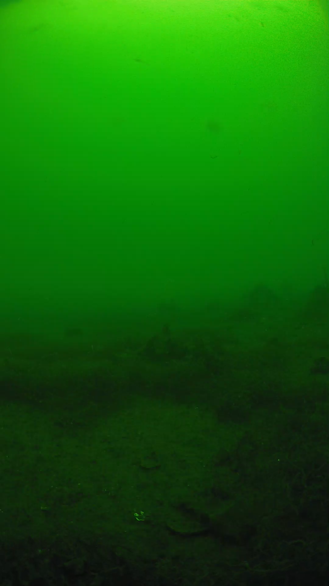 lander_ipcam_20250605113151.png