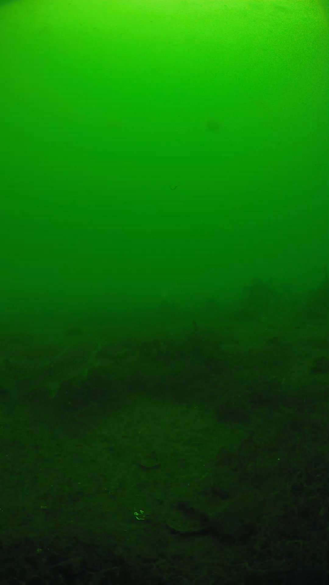 lander_ipcam_20250605113202.png