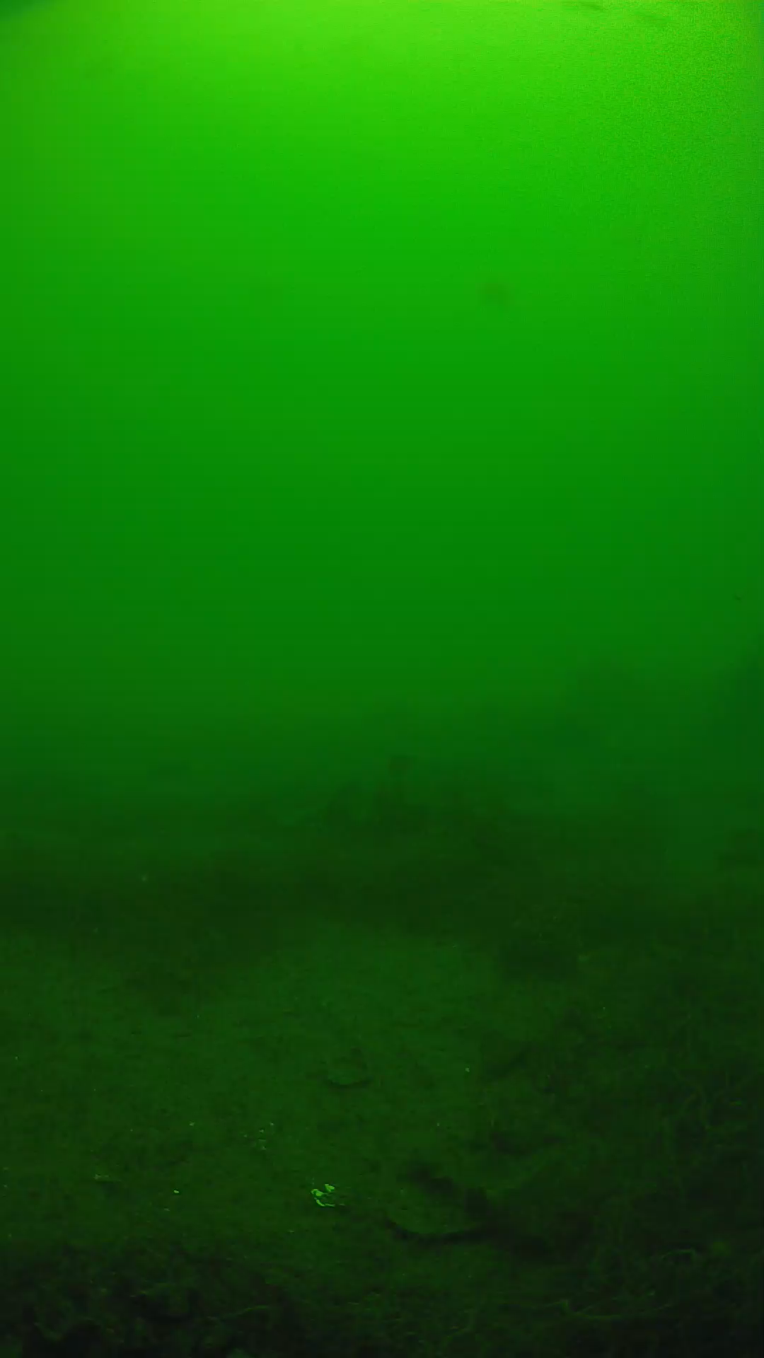 lander_ipcam_20250605114618.png