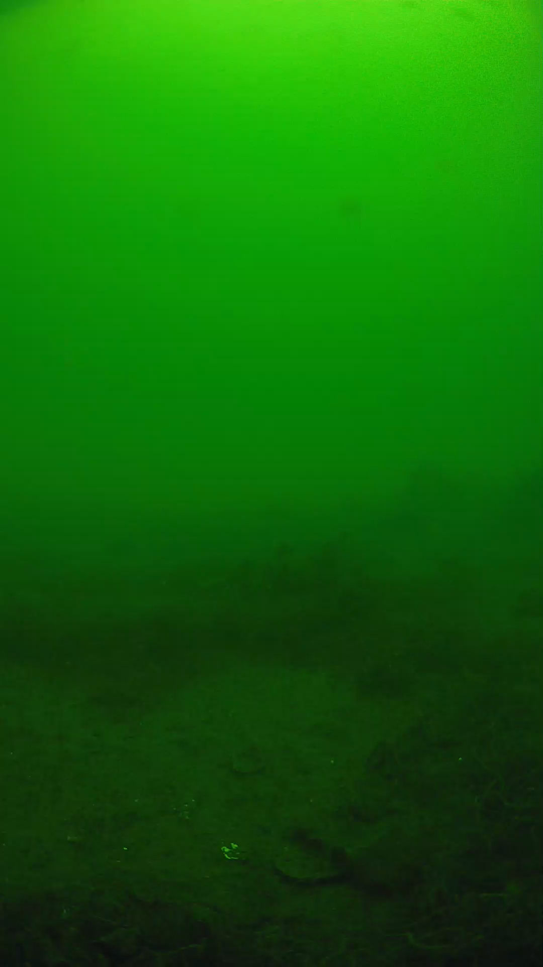 lander_ipcam_20250605114627.png