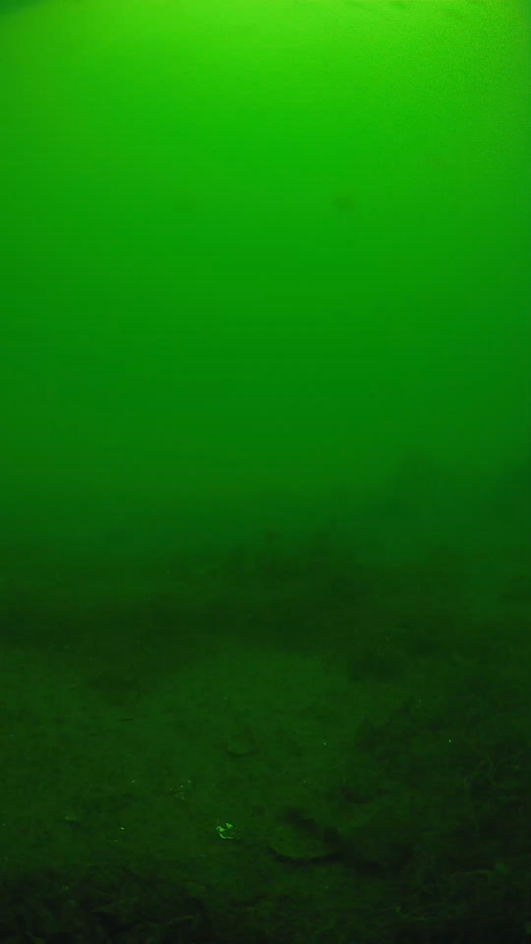 lander_ipcam_20250605114628.png
