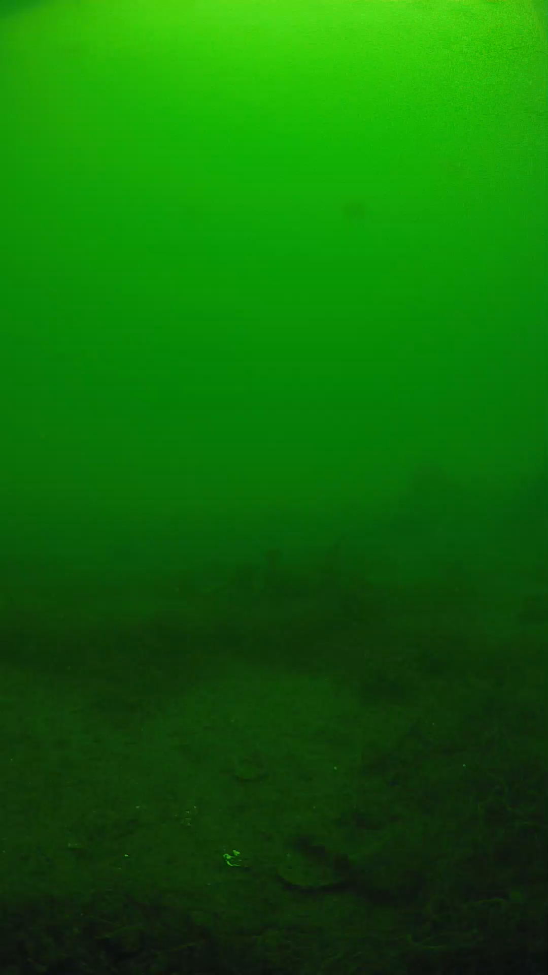 lander_ipcam_20250605114629.png