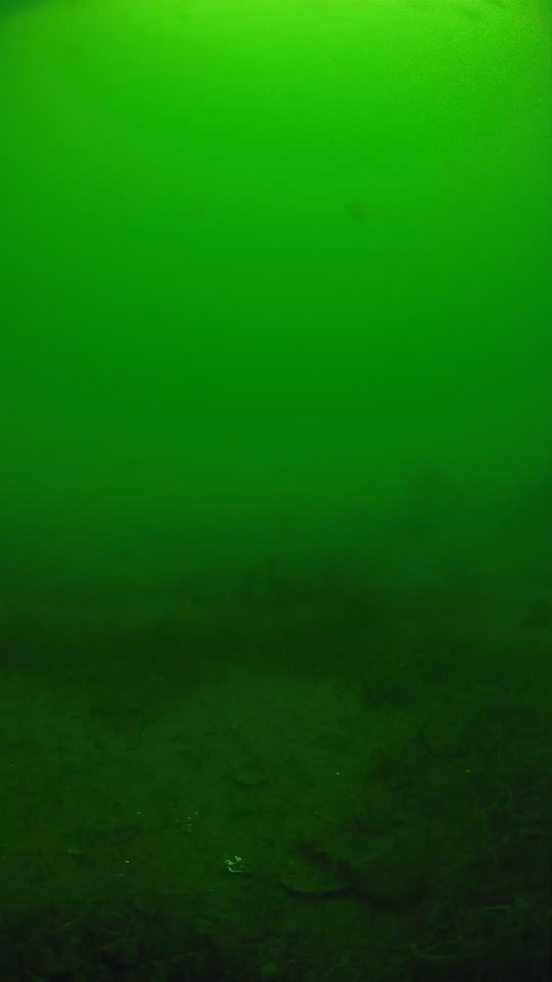 lander_ipcam_20250605114631.png