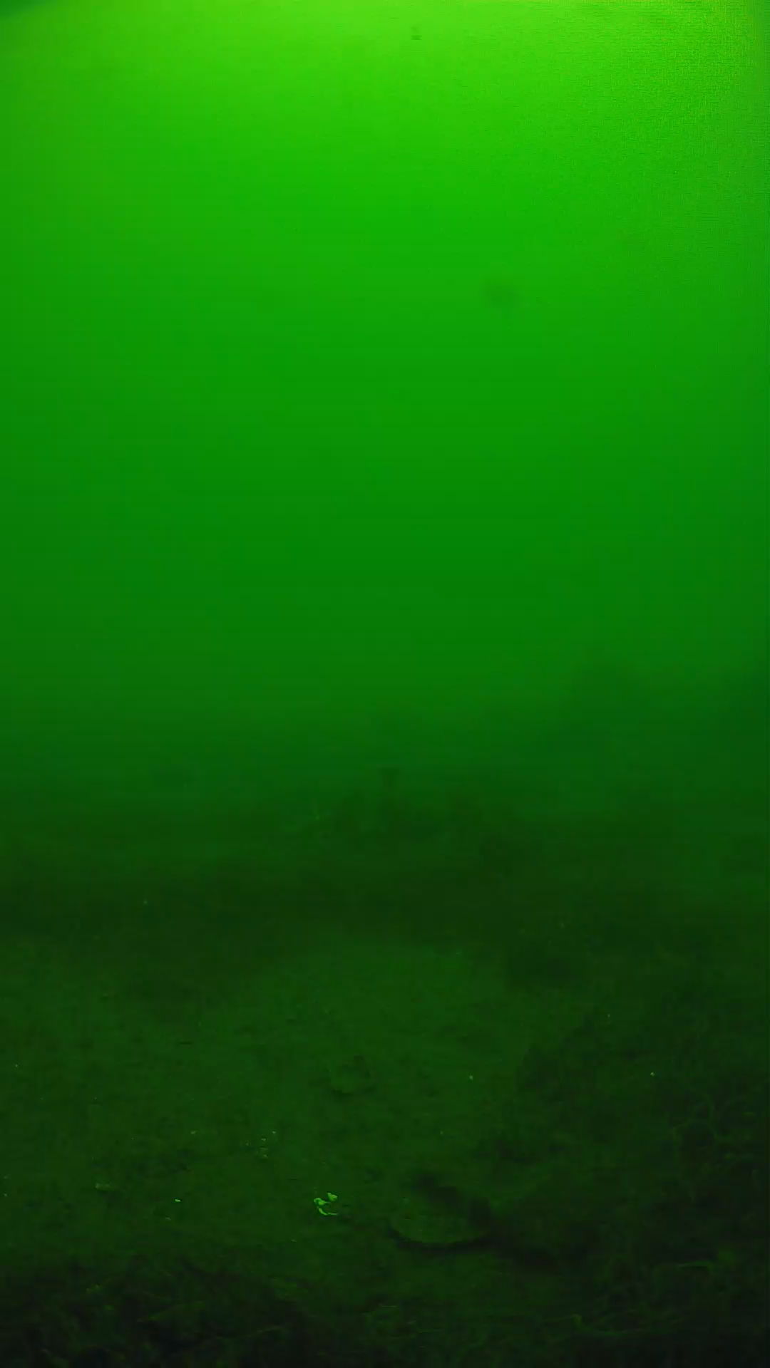 lander_ipcam_20250605114645.png