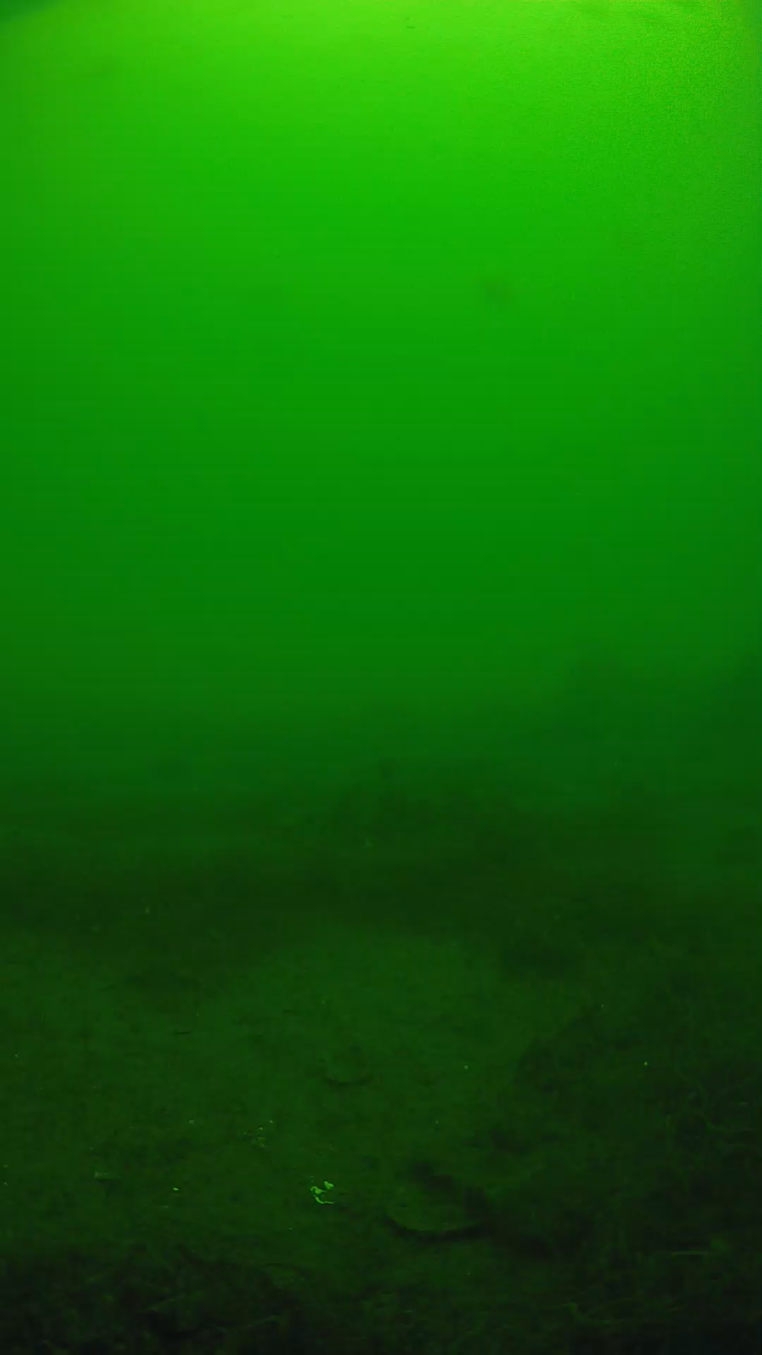 lander_ipcam_20250605114649.png