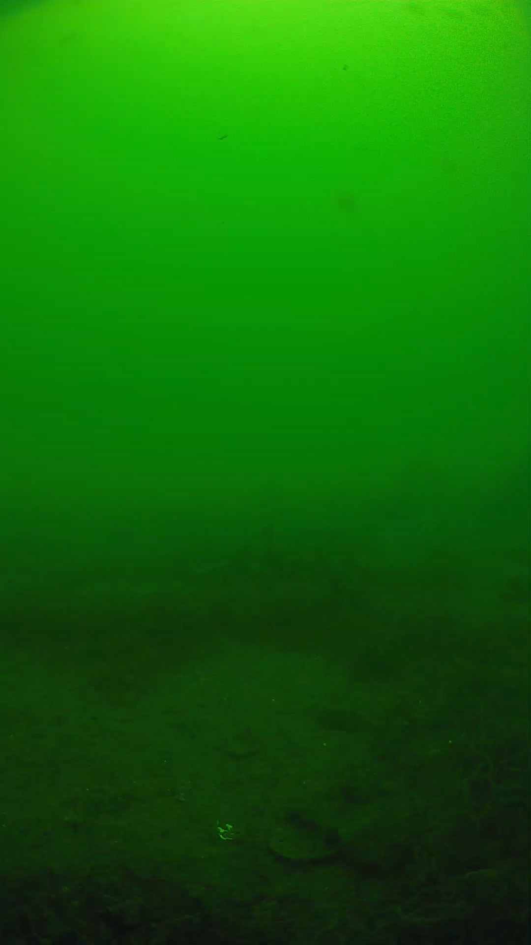 lander_ipcam_20250605120106.png