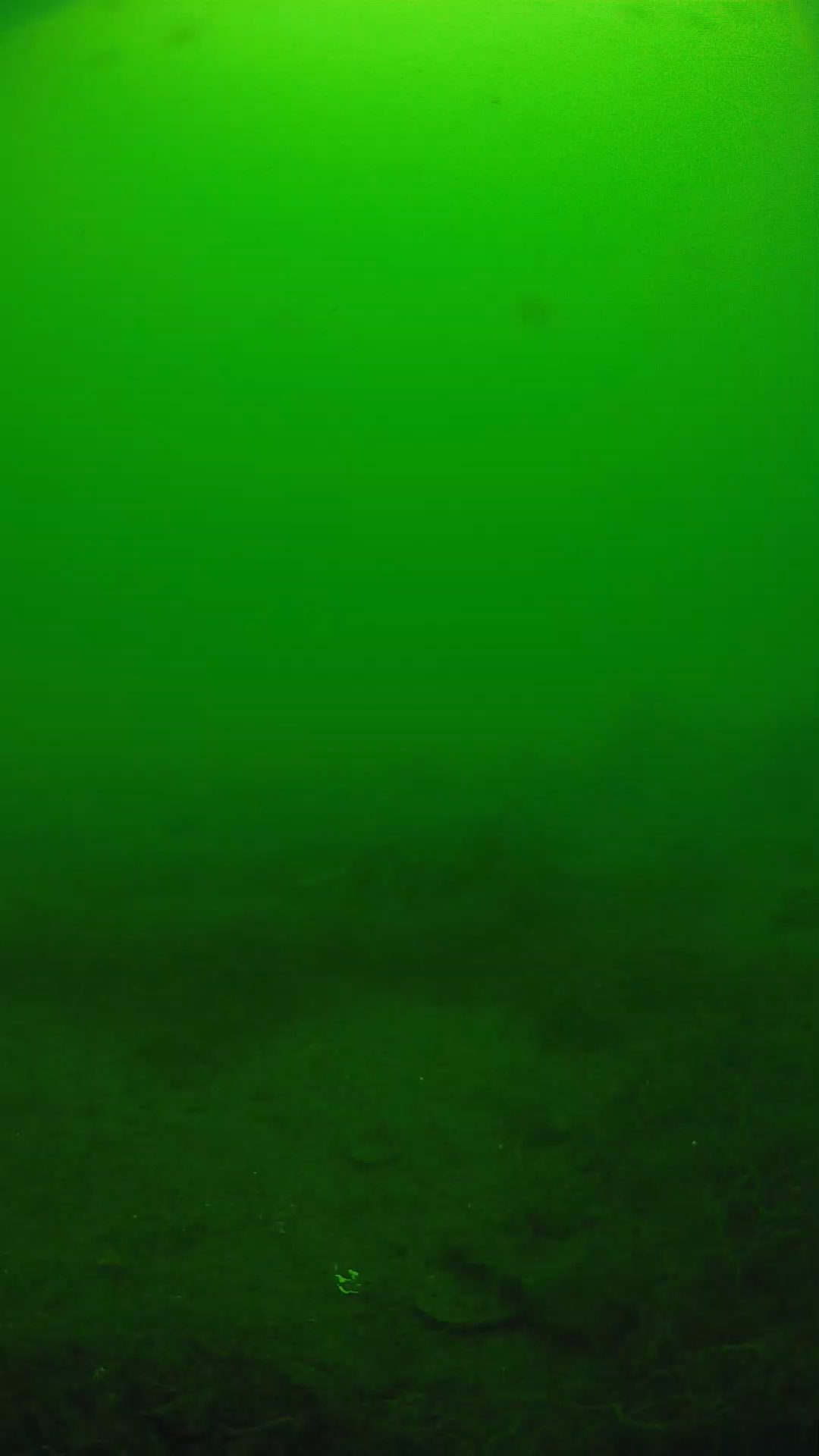 lander_ipcam_20250605120117.png