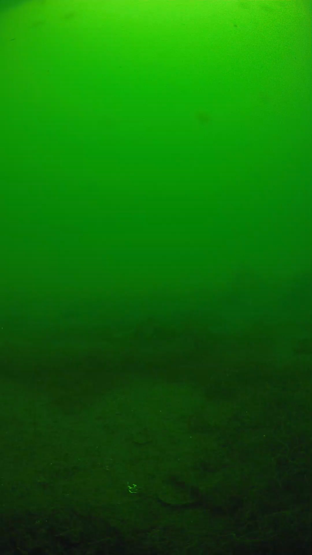 lander_ipcam_20250605120121.png